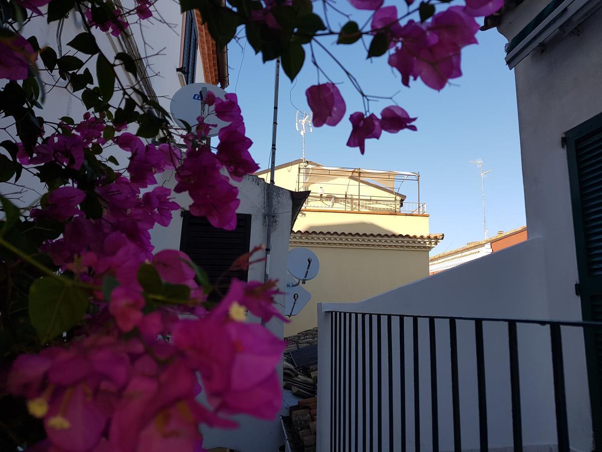 Residenza Borgo Antico Villa Termoli Eksteriør bilde