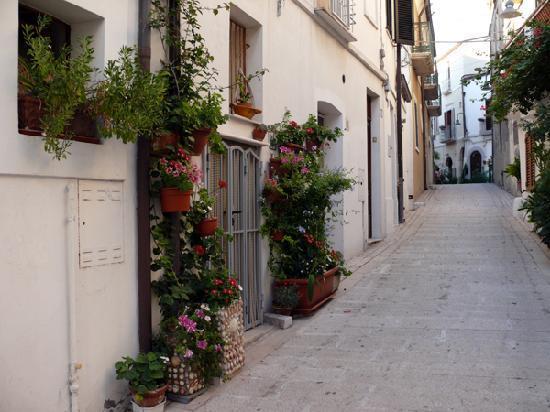 Residenza Borgo Antico Villa Termoli Eksteriør bilde
